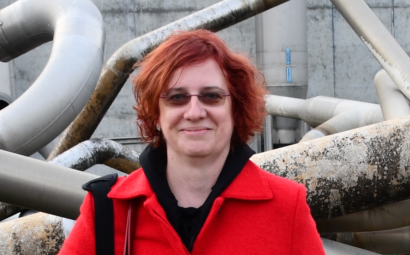 Ing. Ivana Weinzettlová Jungová