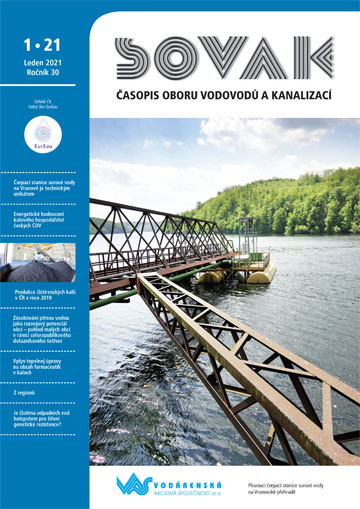 Obálka čísla 2/2021 časopisu Sovak Obálka čísla 2/2021 časopisu Sovak